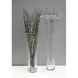 Ống thủy tinh cao  27-GA235-S2  