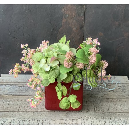 TP152733 - Chậu Sorel Đỏ Hoa Đinh Hương