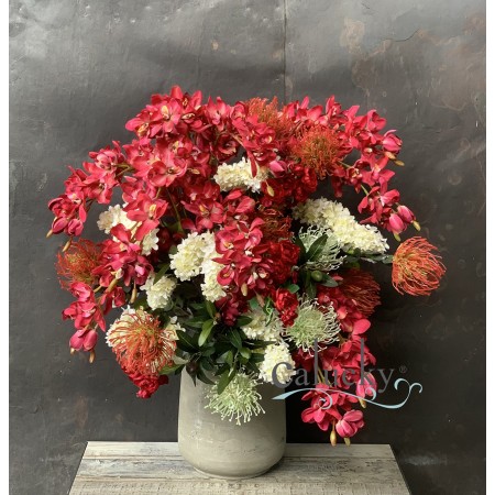 TP152734 - Chậu Hoa Địa lan, Phi Yến, Thảo Đường