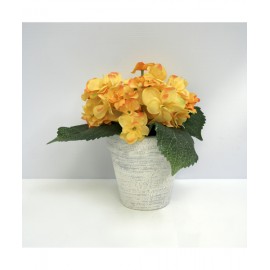 Chậu hoa cẩm tú cầu 02 21-19-5908