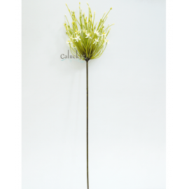 Hoa hẹ 21-PS017188PT