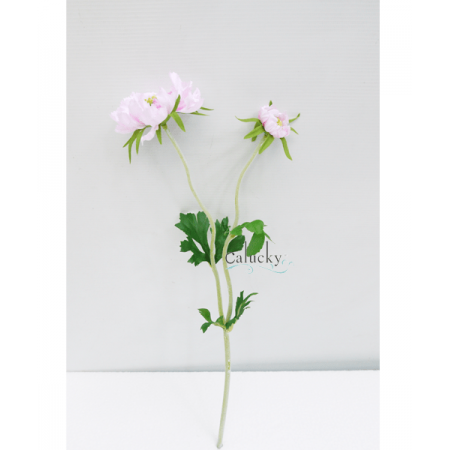 Hoa tai thỏ 21-PS022511F