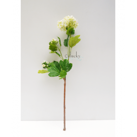 Hoa tú cầu 3 nhánh 21-PS041009LX