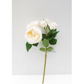 Hoa hồng chùm 5 bông 21-PS05053