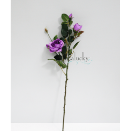 Hoa hồng 5 bông 21-PS05591PT