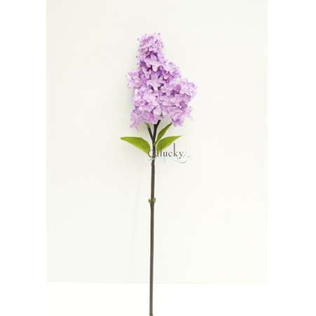 Hoa phi yến cành ngắn 22-7318