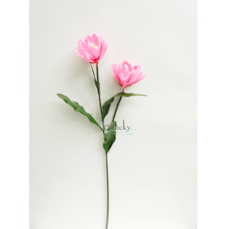 Hoa quỳnh màu 22-8091