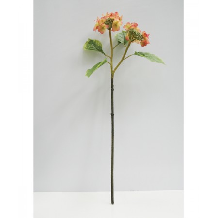 Hoa tú cầu màu LILAC