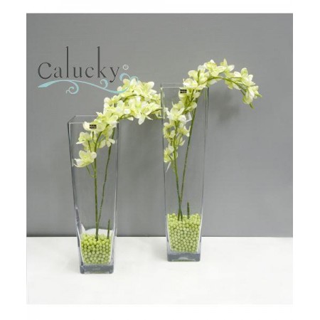 Thủy tinh vuông cao 27-GA73-S2