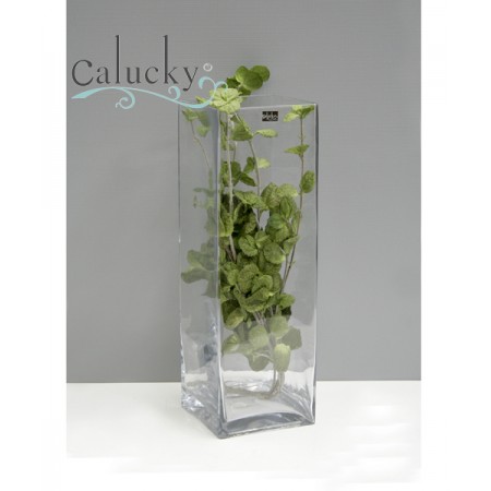 Thủy tinh vuông cao 27-GA791-1442