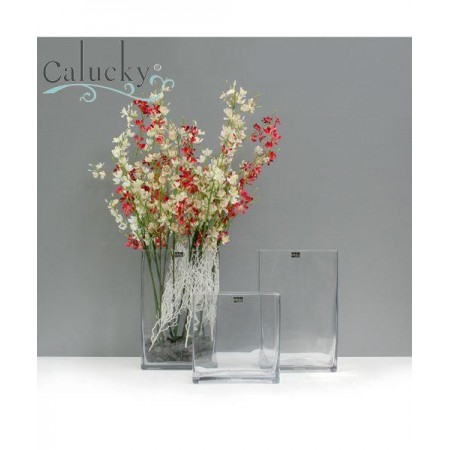 Thủy tinh CN 27-GA846-S2