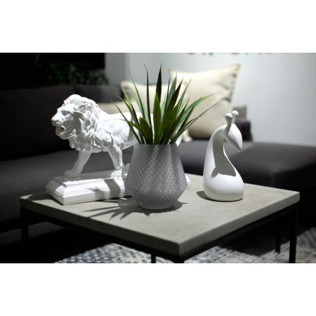 Thủy tinh mắt ngọc mờ 62-F12-2074